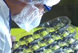 In Mold Labeling 