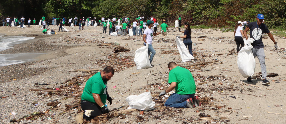 Beach-Beautification